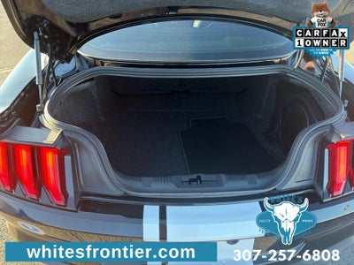 2023 Ford Mustang GT Premium Fastback